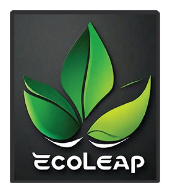 Eco Leap logo