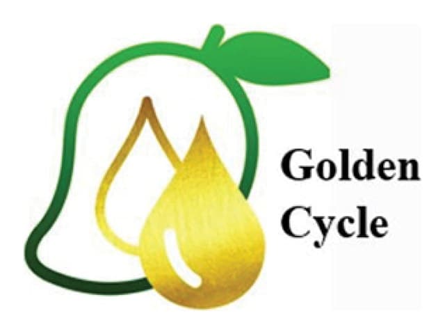 BIAQ Golden Cycle logo