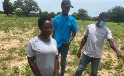 Linda on her farm